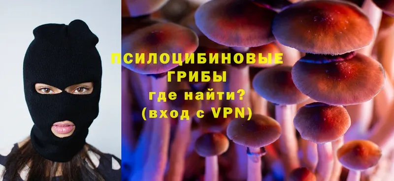 Псилоцибиновые грибы MAGIC MUSHROOMS  магазин  наркотиков  Североуральск 